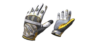 Gloves Champion
